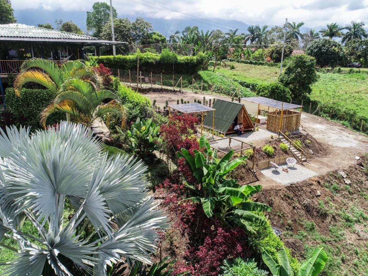 Villa Alejandra Del Quindio Calarcá Exteriör bild